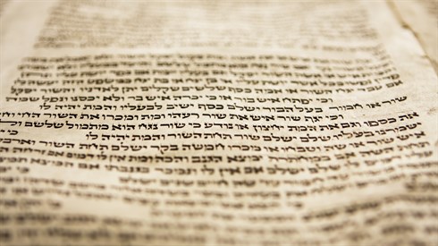 השפעת לימוד תורה על הנפש השפעת לימוד תורה על הנפש