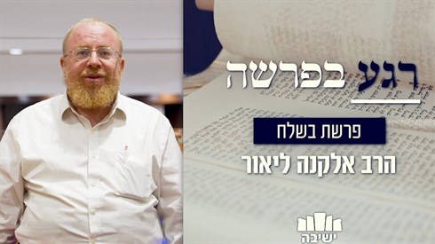 רגע בפרשה | אוצרות בלב הים רגע בפרשה | אוצרות בלב הים