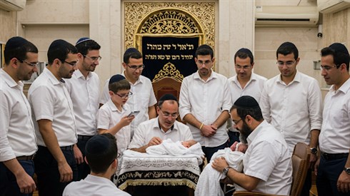 טעמי ברית המילה - פרשת 'תזריע' טעמי ברית המילה - פרשת 'תזריע'