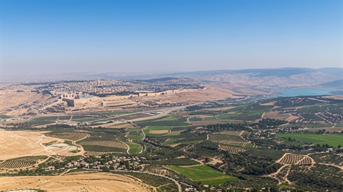 הלכות תפילת הדרך