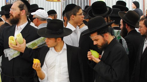 לקנות ארבעת המינים לילדים? לקנות ארבעת המינים לילדים?