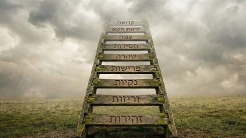 איך קונים את המידות טובות איך קונים את המידות טובות