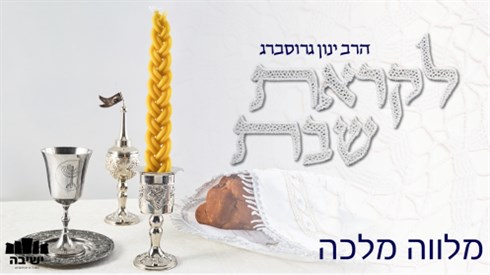 עצם הלוז: הסוד של מלווה מלכה והאור שלא יכבה לעולם