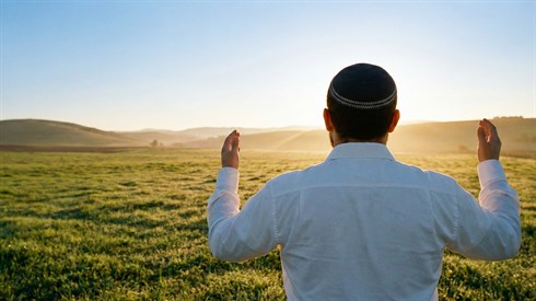 תשובה גופנית תשובה גופנית