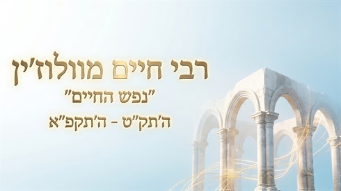 שנותיו ותורתו של רבי חיים מוולוז'ין שנותיו ותורתו של רבי חיים מוולוז'ין