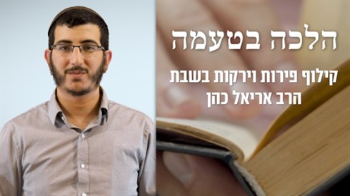 קילוף פירות וירקות בשבת קילוף פירות וירקות בשבת