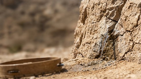 פרשת חוקת: מה הסוד שהסתתר מאחורי השם של מרים הנביאה? פרשת חוקת: מה הסוד שהסתתר מאחורי השם של מרים הנביאה?