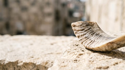 מצוות לאו ליהנות ניתנו: גדרי ההנאה האסורה (Gemini) מצוות לאו ליהנות ניתנו: גדרי ההנאה האסורה