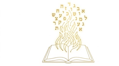 Book Burning (Gemini) Book Burning