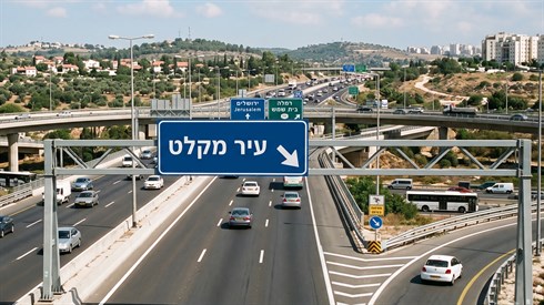 מצווה להרוג או רק היתר? דיני עיר מקלט ורצח בשוגג