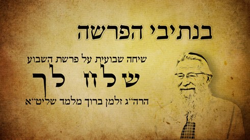 בנתיבי הפרשה - שלח לך