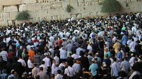 מצוות הקהל מצוות הקהל
