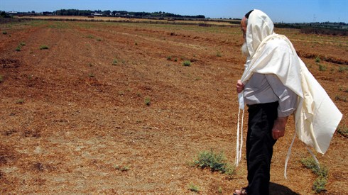 תענית בה"ב